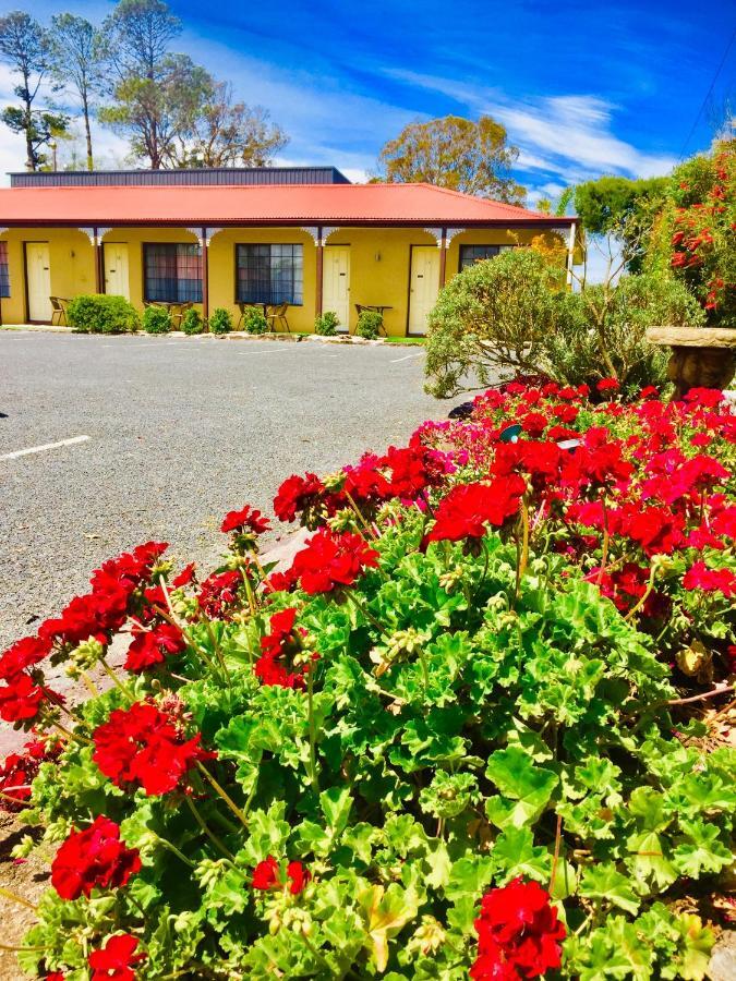 Colonial Motor Inn Pambula Eksteriør bilde